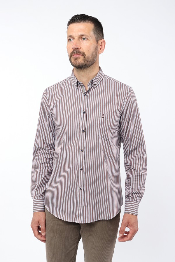 Regular Fit Striped Shirt with Details